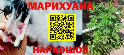 сатива Славгород