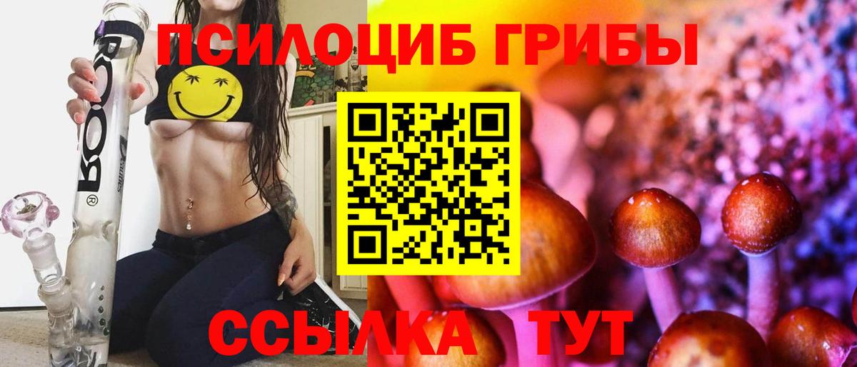 Галлюциногенные грибы мицелий  Галлюциногенные грибы Cubensis  Астрахань  Вход с VPN 